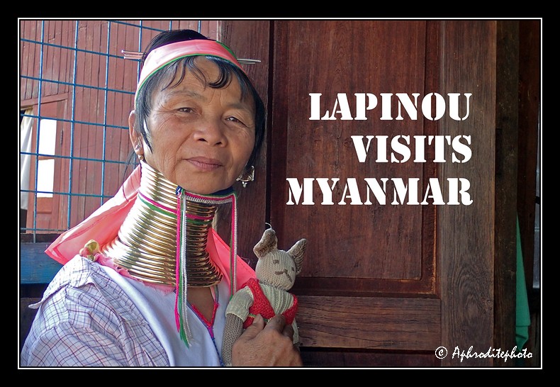 Lapinou in Myanmar 2015